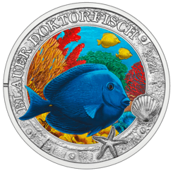 2024 3-Euro-Münze Blauer Doktorfisch Revers