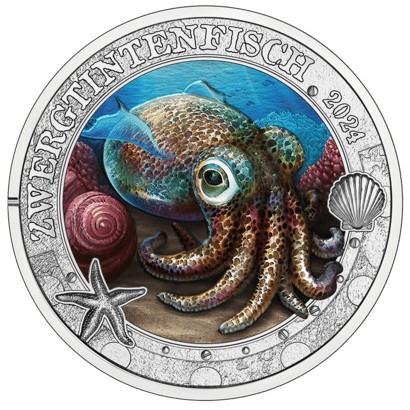 Zwergtintenfisch 3-Euro-Münze Revers
