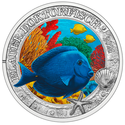2024 3-Euro-Münze Blauer Doktorfisch Revers
