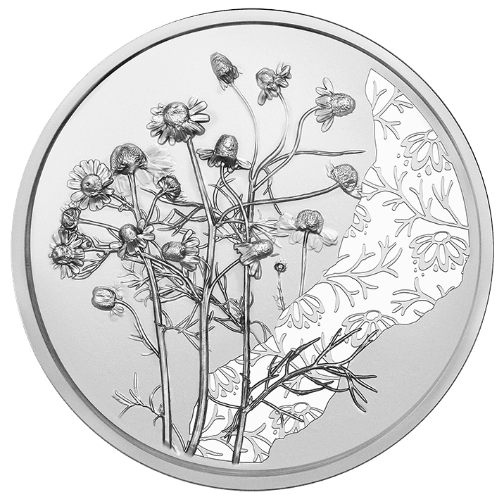 10-Euro-Münze Kamille Rückseite