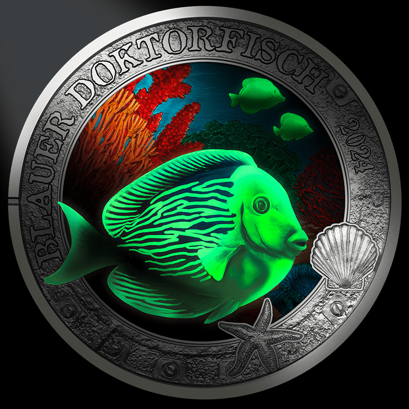 2024_3-Euro-Münze Blauer Doktorfisch Revers leuchtend