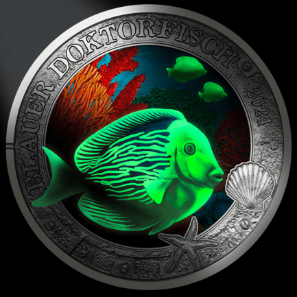 2024_3-Euro-Münze Blauer Doktorfisch Revers leuchtend