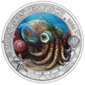 Zwergtintenfisch 3-Euro-Münze Revers