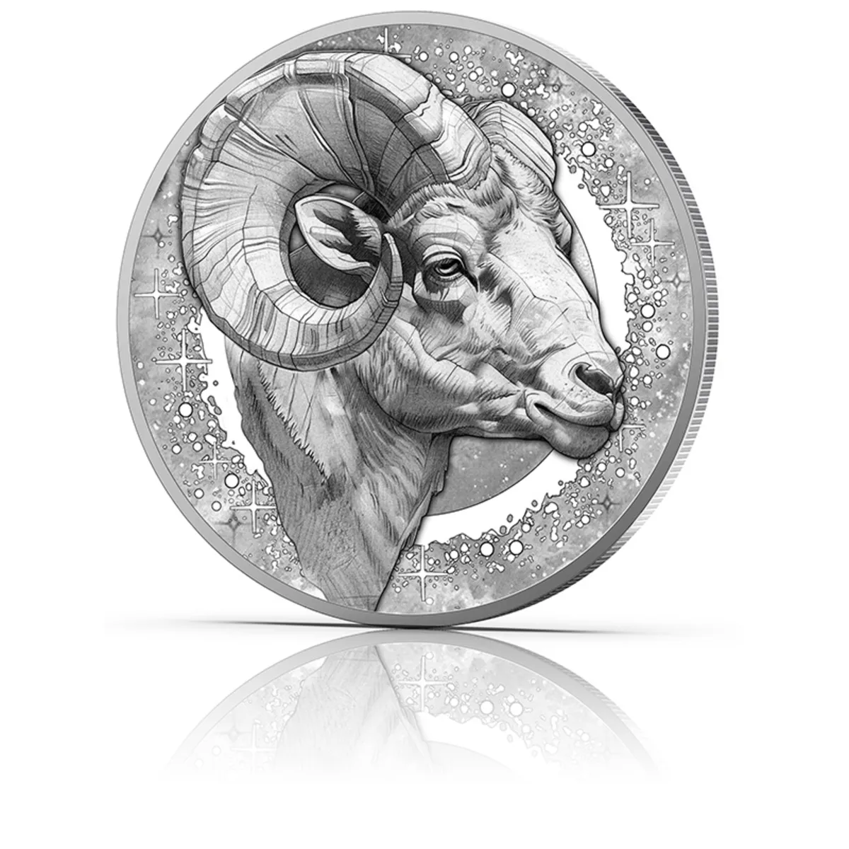 Widder Entwurf 3D-Ansicht