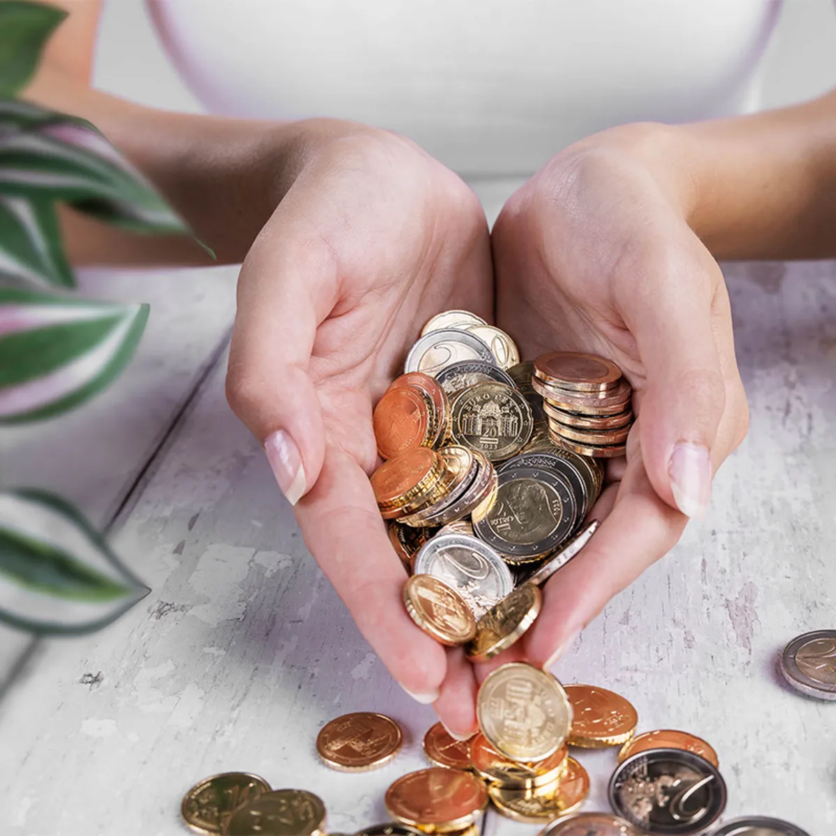 muenzen-in-hand-800x800.jpg