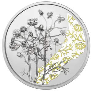 2023_10E_Kamille_Ag_PP_RS