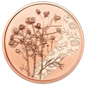 2023_10E_Kamille_Cu_NP_RS