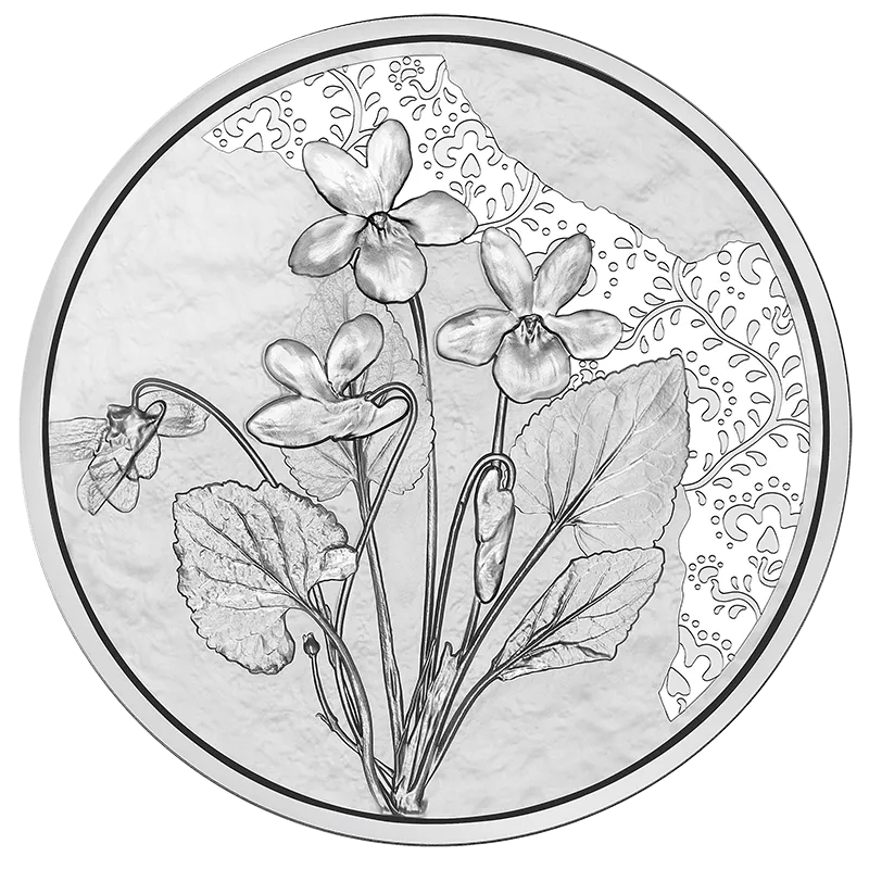 2024_10E_Veilchen Silber Handgehoben Revers