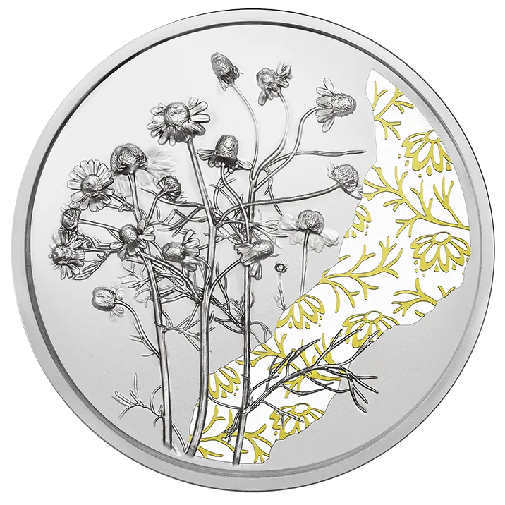 2023_10E_Kamille_Ag_PP_RS