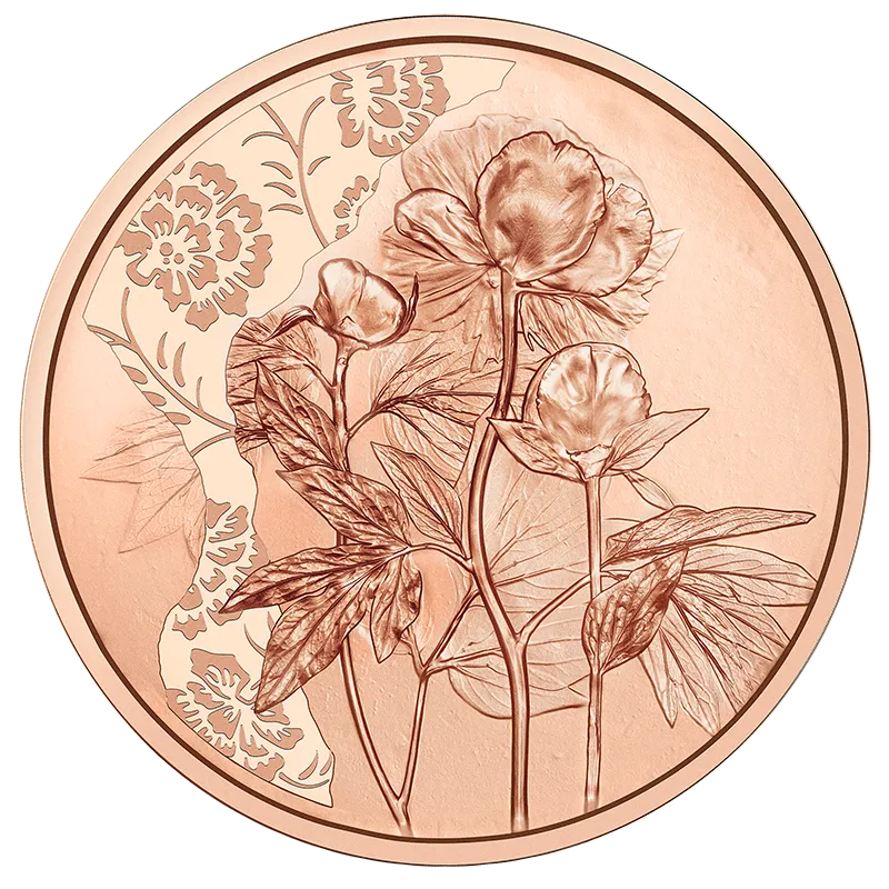 2024_10E_Pfingstrose_Cu_RS