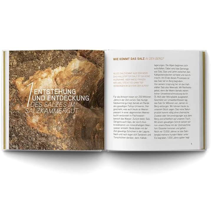 Buch Innenansicht S.4-5