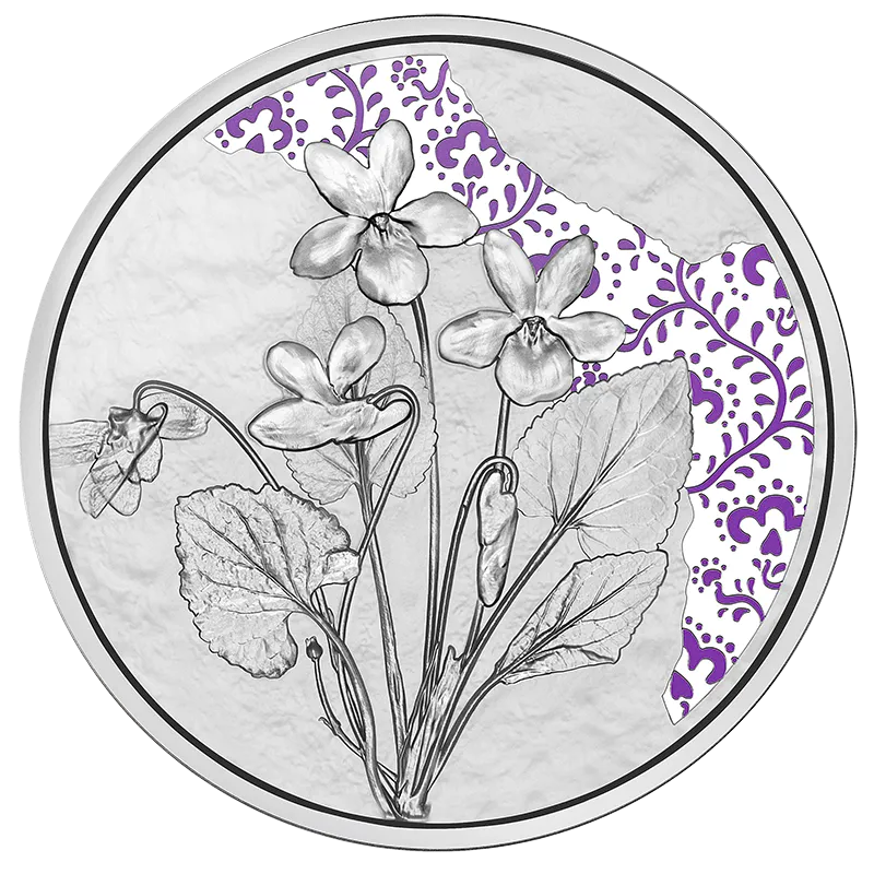 2024_10E_Veilchen Silber Polierte Platte Revers