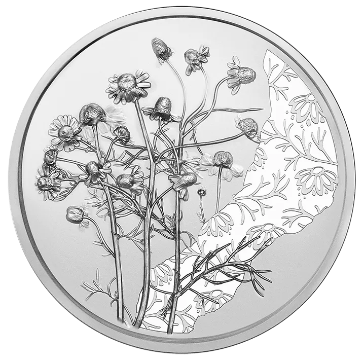 2023_10E_Kamille_Ag_HGH_RS