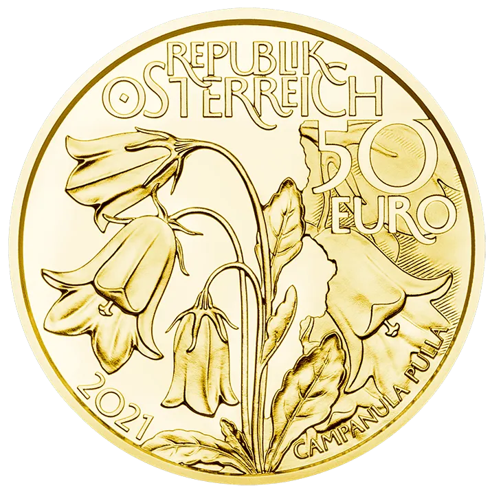 Naturschatz Alpen Im tiefsten Wald