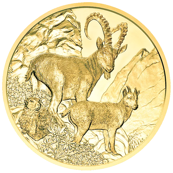 Wildtiere, Steinbock