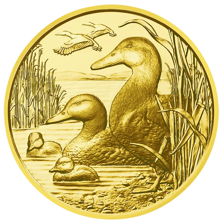 Die Stockente, Rückseite