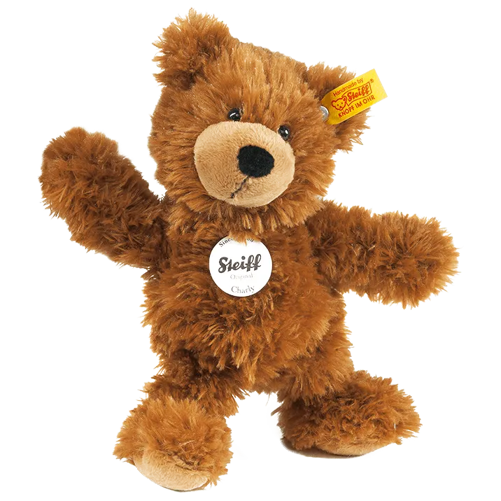 Teddybär Charly 